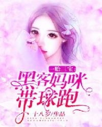 一胎三宝：黑客妈咪带球跑