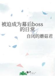 被迫成为幕后boss的日常